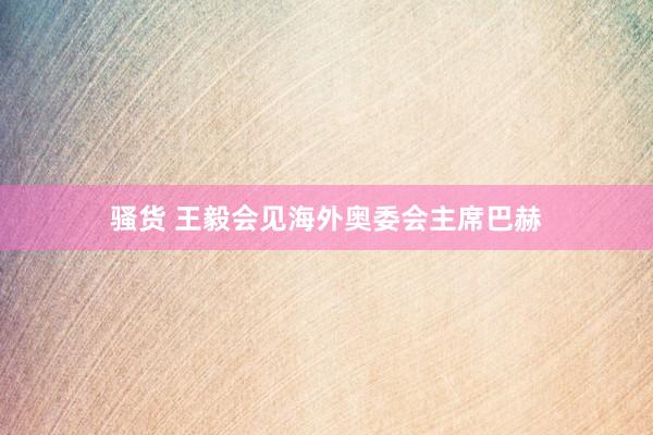 骚货 王毅会见海外奥委会主席巴赫