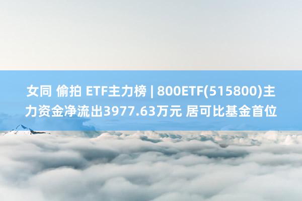 女同 偷拍 ETF主力榜 | 800ETF(515800)主力资金净流出3977.63万元 居可比基金首位