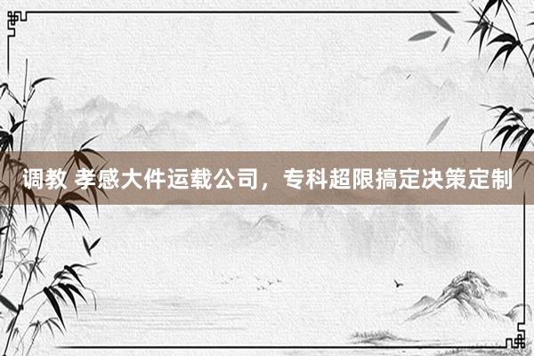 调教 孝感大件运载公司，专科超限搞定决策定制