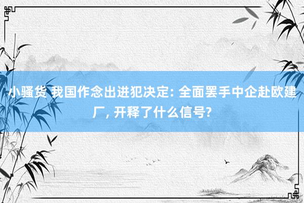 小骚货 我国作念出进犯决定: 全面罢手中企赴欧建厂, 开释了什么信号?