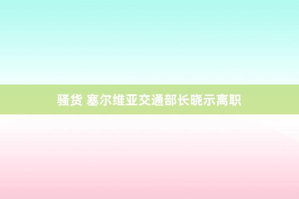骚货 塞尔维亚交通部长晓示离职