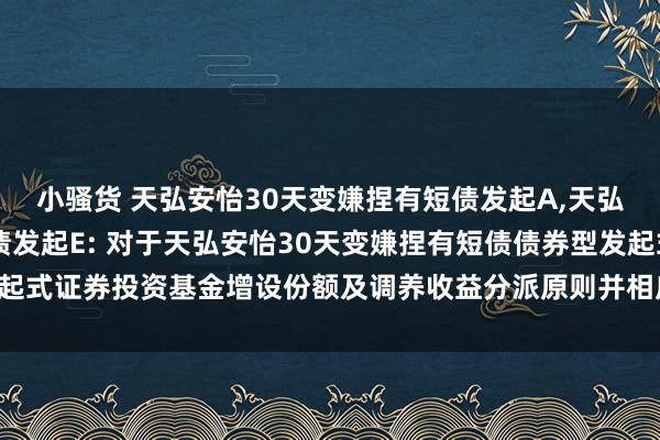 小骚货 天弘安怡30天变嫌捏有短债发起A,天弘安怡30天变嫌捏有短债发起E: 对于天弘安怡30天变嫌捏有短债债券型发起式证券投资基金增设份额及调养收益分派原则并相应修改干系法律文献的公告