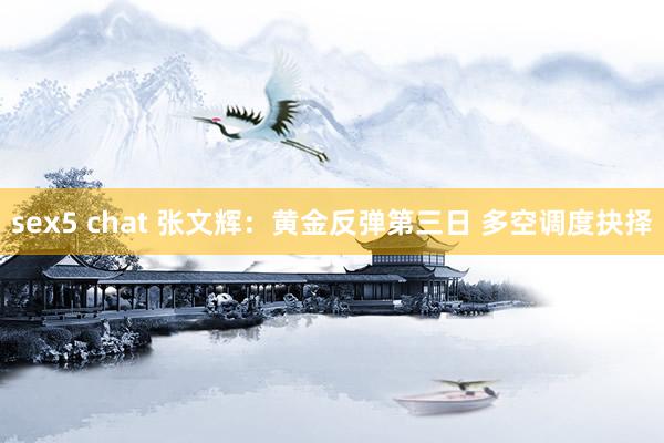 sex5 chat 张文辉：黄金反弹第三日 多空调度抉择