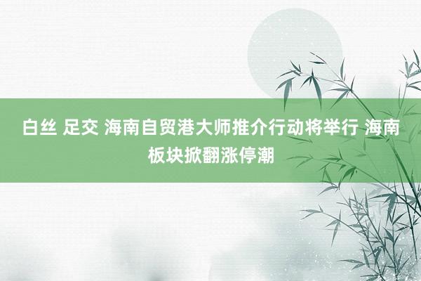 白丝 足交 海南自贸港大师推介行动将举行 海南板块掀翻涨停潮