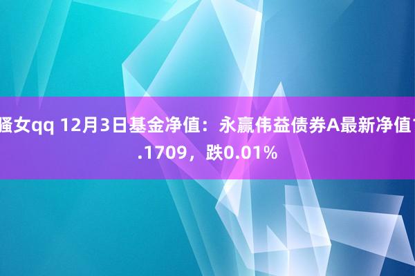 骚女qq 12月3日基金净值：永赢伟益债券A最新净值1.1709，跌0.01%