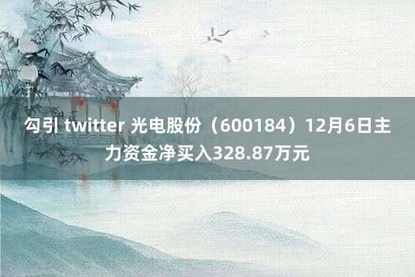 勾引 twitter 光电股份（600184）12月6日主力资金净买入328.87万元