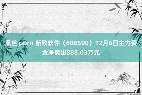 黑丝 porn 新致软件（688590）12月6日主力资金净卖出888.03万元