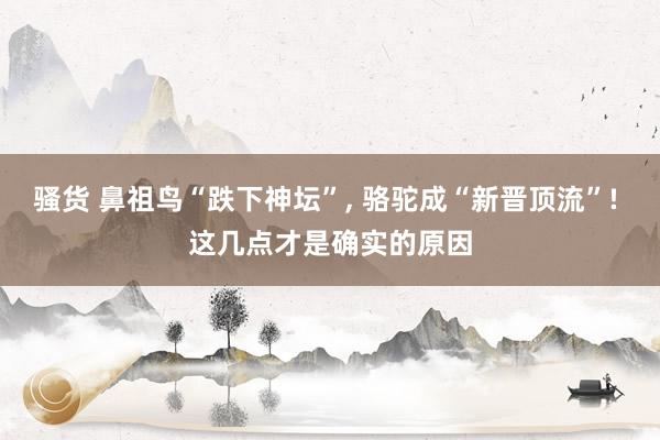 骚货 鼻祖鸟“跌下神坛”, 骆驼成“新晋顶流”! 这几点才是确实的原因