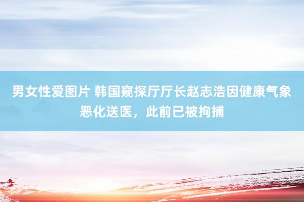 男女性爱图片 韩国窥探厅厅长赵志浩因健康气象恶化送医，此前已被拘捕
