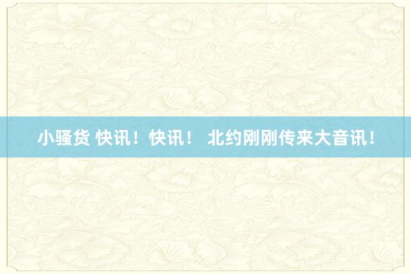 小骚货 快讯！快讯！ 北约刚刚传来大音讯！