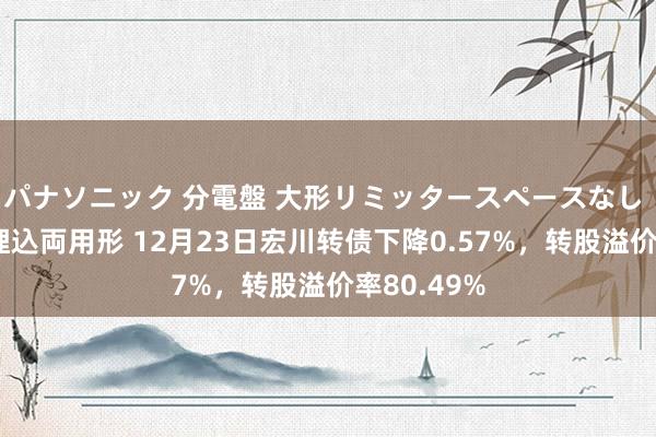 パナソニック 分電盤 大形リミッタースペースなし 露出・半埋込両用形 12月23日宏川转债下降0.57%，转股溢价率80.49%