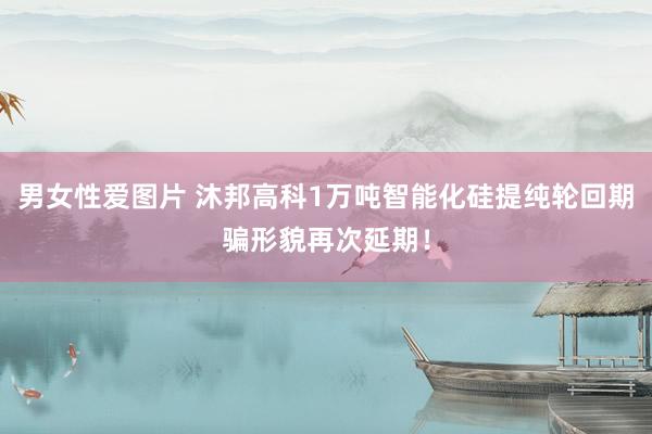 男女性爱图片 沐邦高科1万吨智能化硅提纯轮回期骗形貌再次延期！