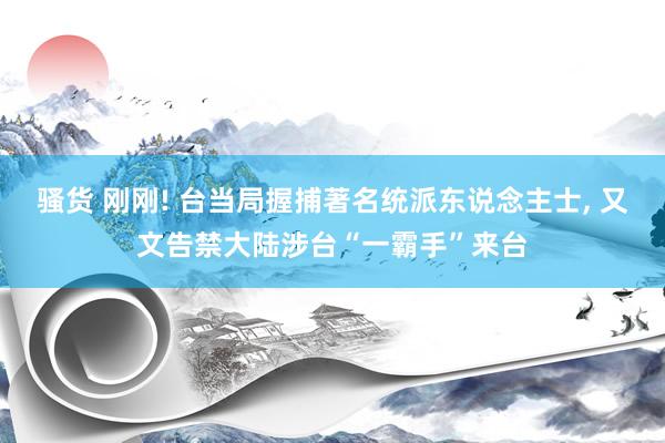 骚货 刚刚! 台当局握捕著名统派东说念主士, 又文告禁大陆涉台“一霸手”来台