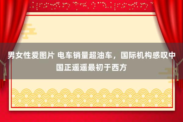 男女性爱图片 电车销量超油车，国际机构感叹中国正遥遥最初于西方