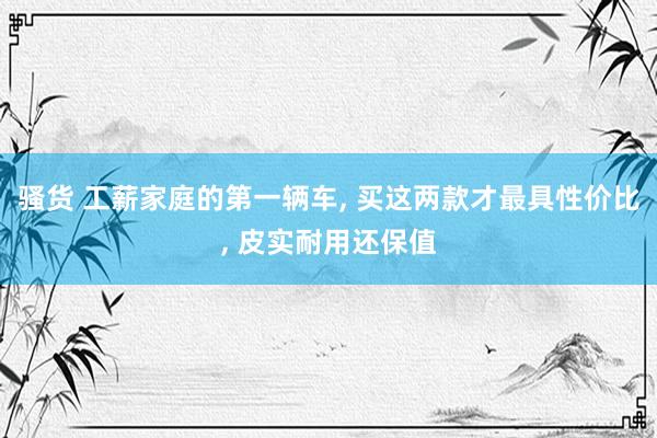 骚货 工薪家庭的第一辆车, 买这两款才最具性价比, 皮实耐用还保值