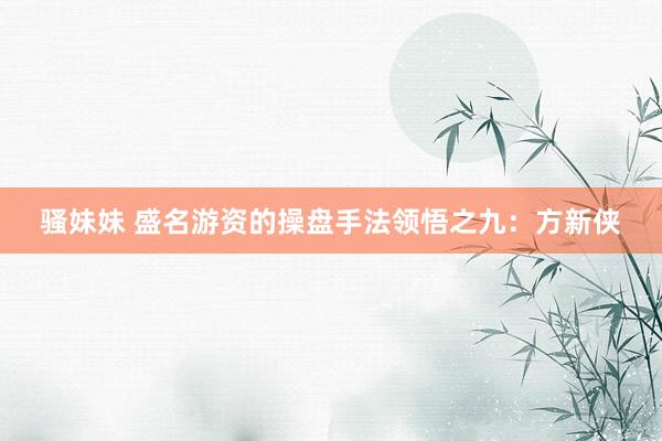 骚妹妹 盛名游资的操盘手法领悟之九：方新侠