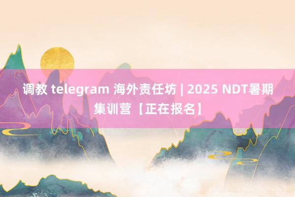 调教 telegram 海外责任坊 | 2025 NDT暑期集训营【正在报名】