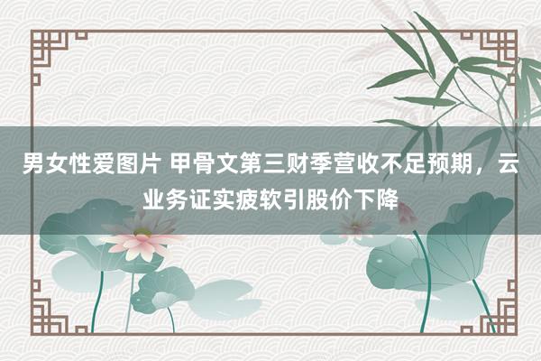 男女性爱图片 甲骨文第三财季营收不足预期，云业务证实疲软引股价下降