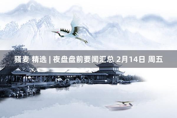 骚麦 精选 | 夜盘盘前要闻汇总 2月14日 周五