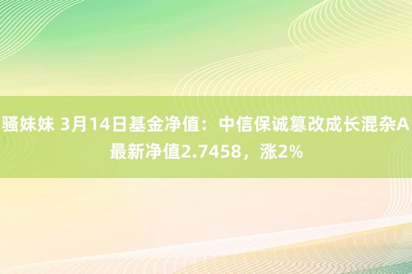 骚妹妹 3月14日基金净值：中信保诚篡改成长混杂A最新净值2.7458，涨2%