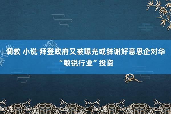 调教 小说 拜登政府又被曝光或辞谢好意思企对华“敏锐行业”投资