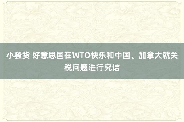 小骚货 好意思国在WTO快乐和中国、加拿大就关税问题进行究诘
