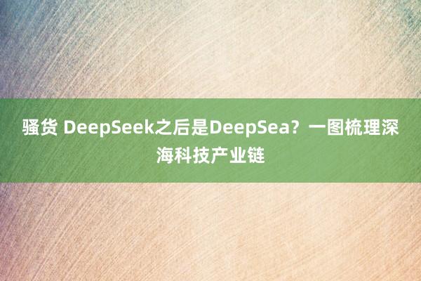 骚货 DeepSeek之后是DeepSea？一图梳理深海科技产业链