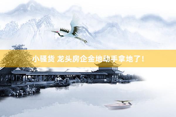 小骚货 龙头房企金地动手拿地了！