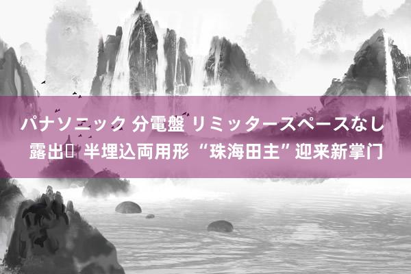 パナソニック 分電盤 リミッタースペースなし 露出・半埋込両用形 “珠海田主”迎来新掌门