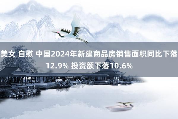美女 自慰 中国2024年新建商品房销售面积同比下落12.9% 投资额下落10.6%