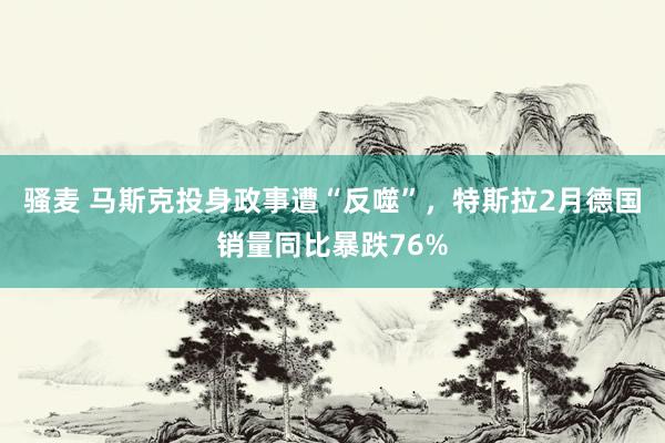 骚麦 马斯克投身政事遭“反噬”，特斯拉2月德国销量同比暴跌76%