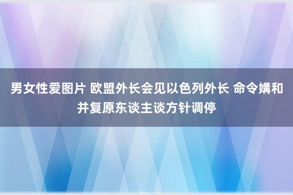 男女性爱图片 欧盟外长会见以色列外长 命令媾和并复原东谈主谈方针调停
