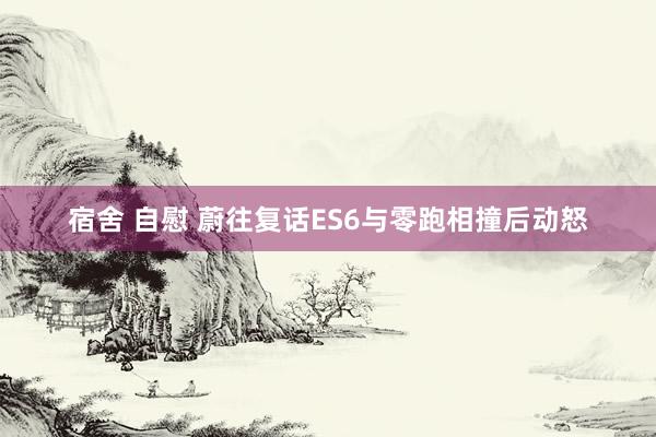 宿舍 自慰 蔚往复话ES6与零跑相撞后动怒