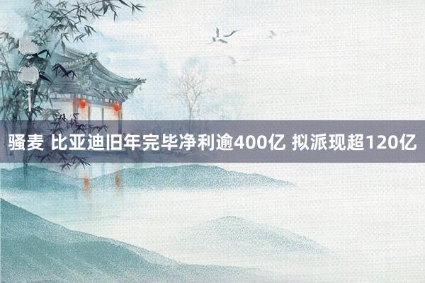 骚麦 比亚迪旧年完毕净利逾400亿 拟派现超120亿