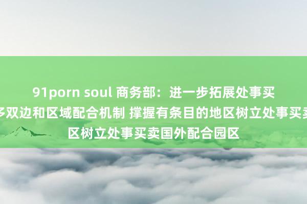 91porn soul 商务部：进一步拓展处事买卖和数字买卖多双边和区域配合机制 撑握有条目的地区树立处事买卖国外配合园区