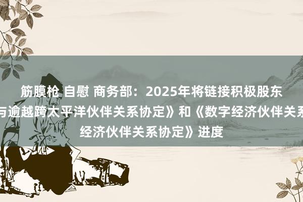 筋膜枪 自慰 商务部：2025年将链接积极股东加入《全面与逾越跨太平洋伙伴关系协定》和《数字经济伙伴关系协定》进度