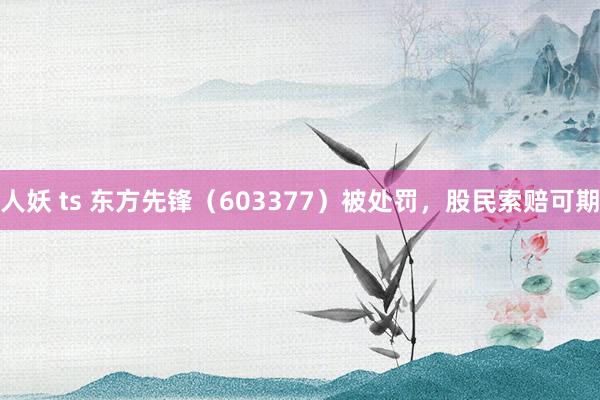 人妖 ts 东方先锋（603377）被处罚，股民索赔可期