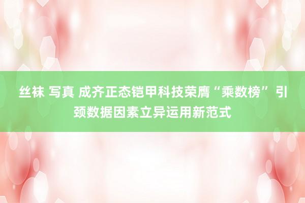 丝袜 写真 成齐正态铠甲科技荣膺“乘数榜” 引颈数据因素立异运用新范式
