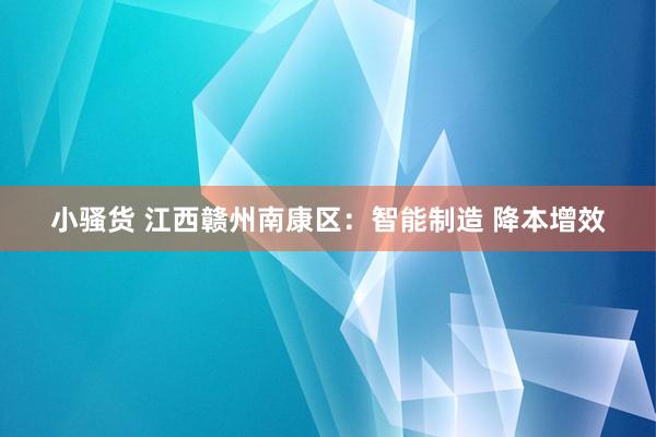 小骚货 江西赣州南康区：智能制造 降本增效