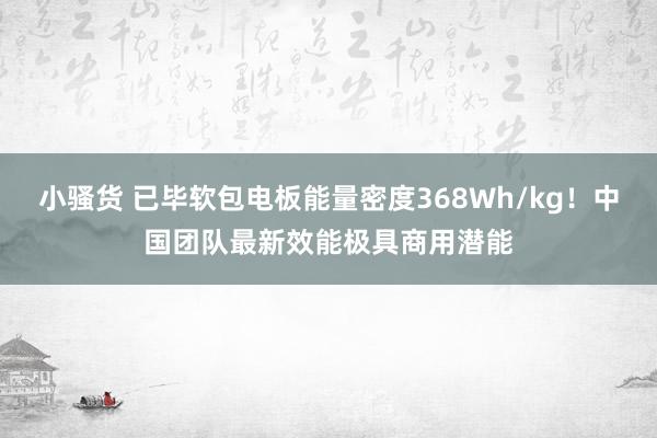 小骚货 已毕软包电板能量密度368Wh/kg！中国团队最新效能极具商用潜能