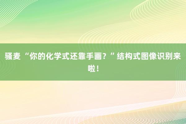 骚麦 “你的化学式还靠手画？”结构式图像识别来啦！