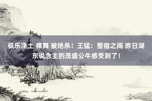 极乐净土 裸舞 被绝杀！王猛：整宿之间 昨日湖东说念主的茂盛公牛感受到了！
