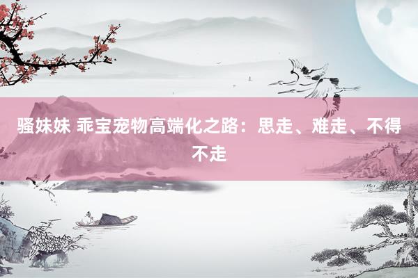 骚妹妹 乖宝宠物高端化之路：思走、难走、不得不走