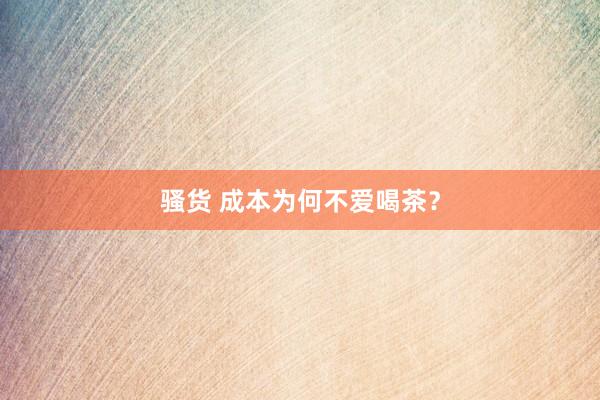 骚货 成本为何不爱喝茶？