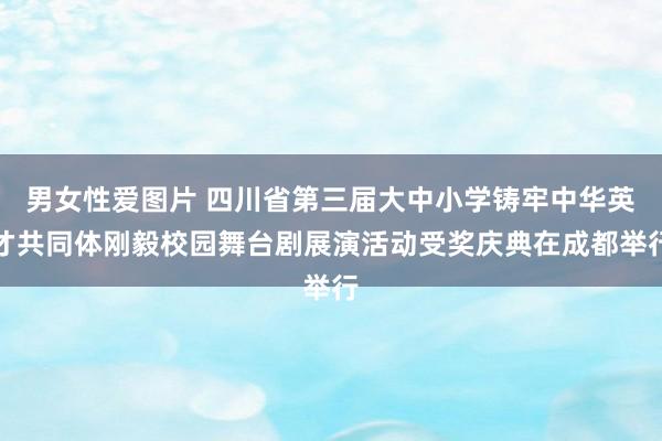 男女性爱图片 四川省第三届大中小学铸牢中华英才共同体刚毅校园舞台剧展演活动受奖庆典在成都举行