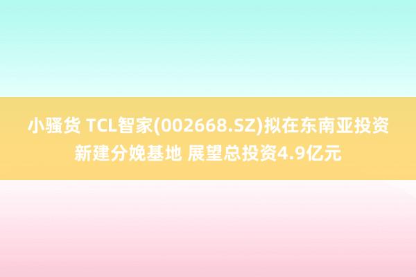 小骚货 TCL智家(002668.SZ)拟在东南亚投资新建分娩基地 展望总投资4.9亿元