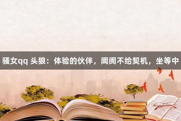骚女qq 头狼：体验的伙伴，阛阓不给契机，坐等中