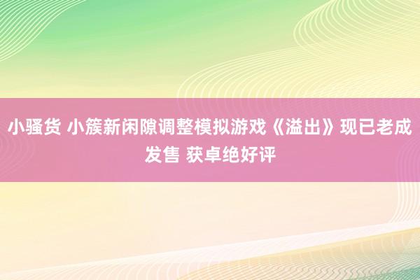 小骚货 小簇新闲隙调整模拟游戏《溢出》现已老成发售 获卓绝好评