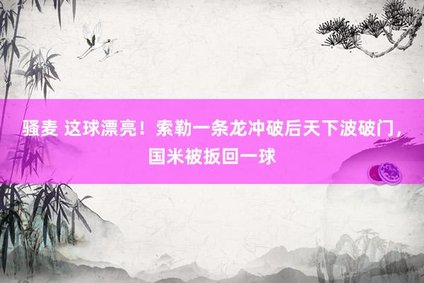 骚麦 这球漂亮！索勒一条龙冲破后天下波破门，国米被扳回一球