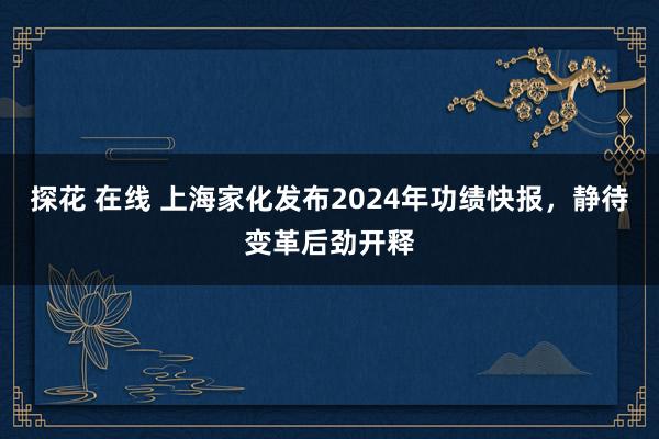 探花 在线 上海家化发布2024年功绩快报，静待变革后劲开释